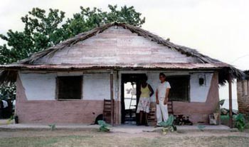 see-thru-house