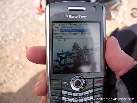 WEB-blackberry